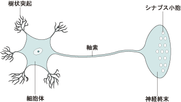 neuron.gif